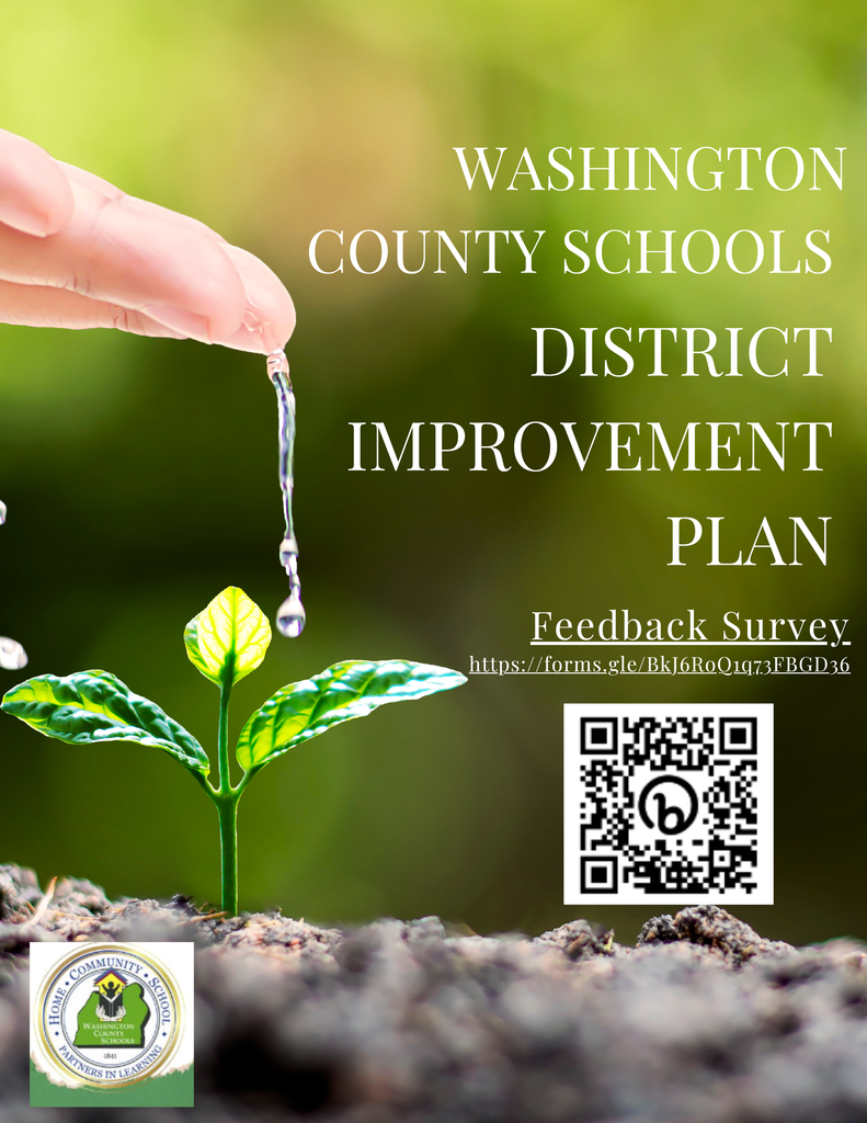 District improvement plan flyer